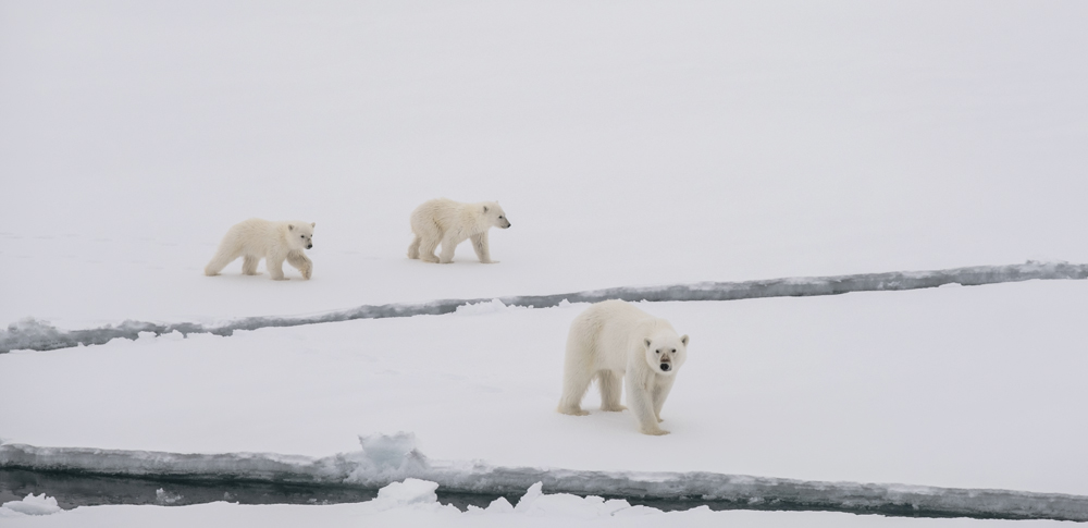 Как АЭС влияет на нашу жизнь. 7 удивительных фактов