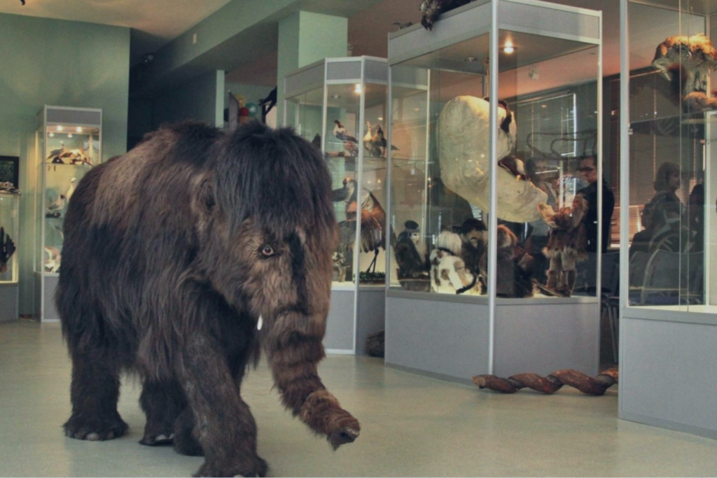 Выходные на Чукотке. Шесть идей, чем заняться в Билибино