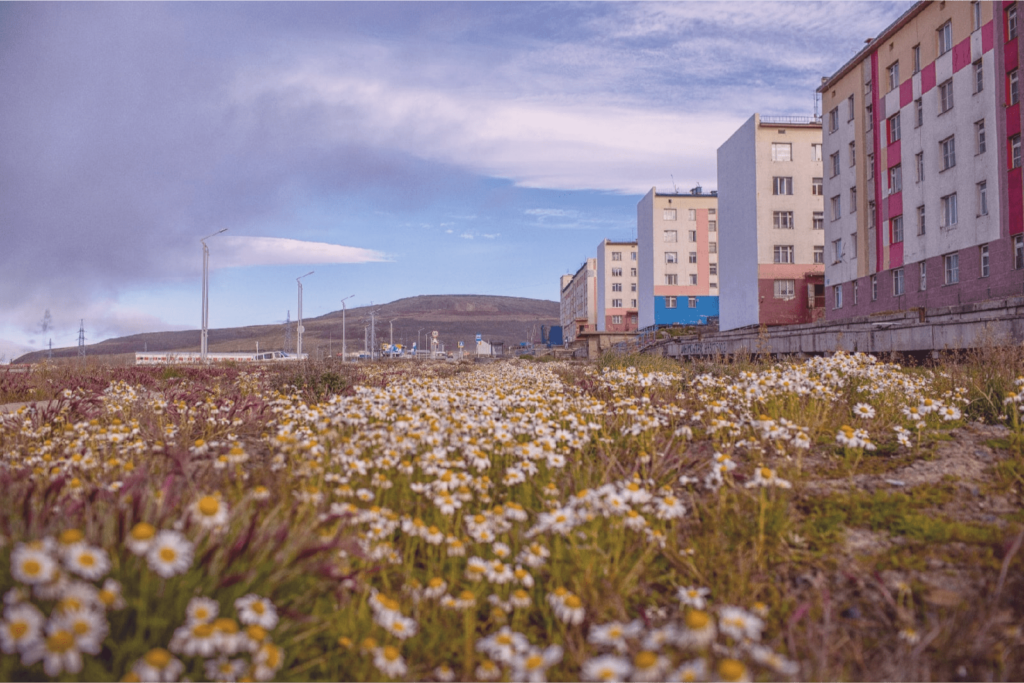 Город для романтиков Прогулка по Певеку: город ромашек, ветров и полярных ночей