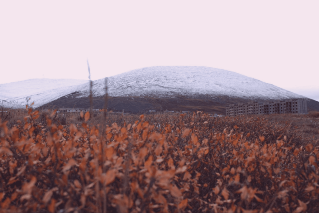 Город для романтиков Прогулка по Певеку: город ромашек, ветров и полярных ночей