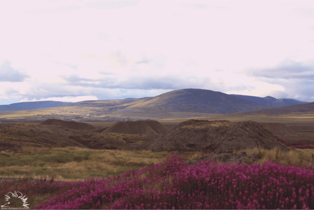 Город для романтиков Прогулка по Певеку: город ромашек, ветров и полярных ночей