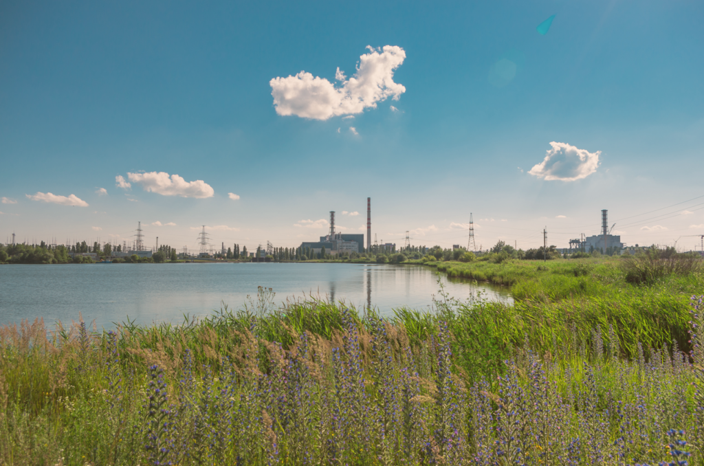 Здесь можно увидеть 100 видов птиц Четыре причины любить Курчатов