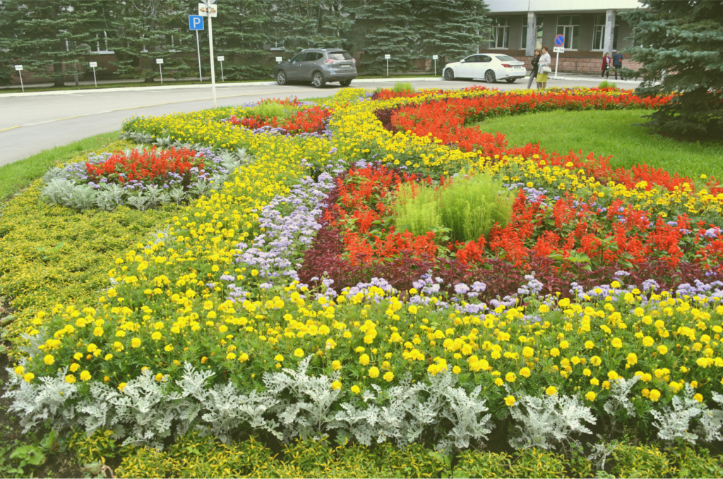 Овощи из атомного города: никаких сверхспособностей, только витамины