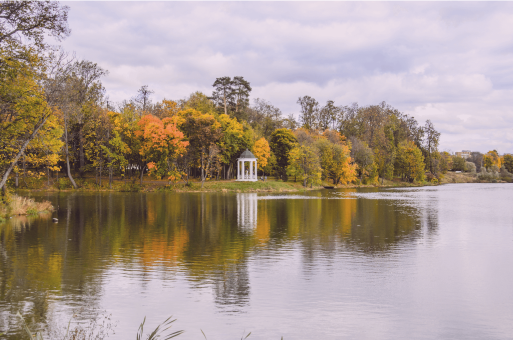 Усадьба «Белкино» Усадьба «Белкино»