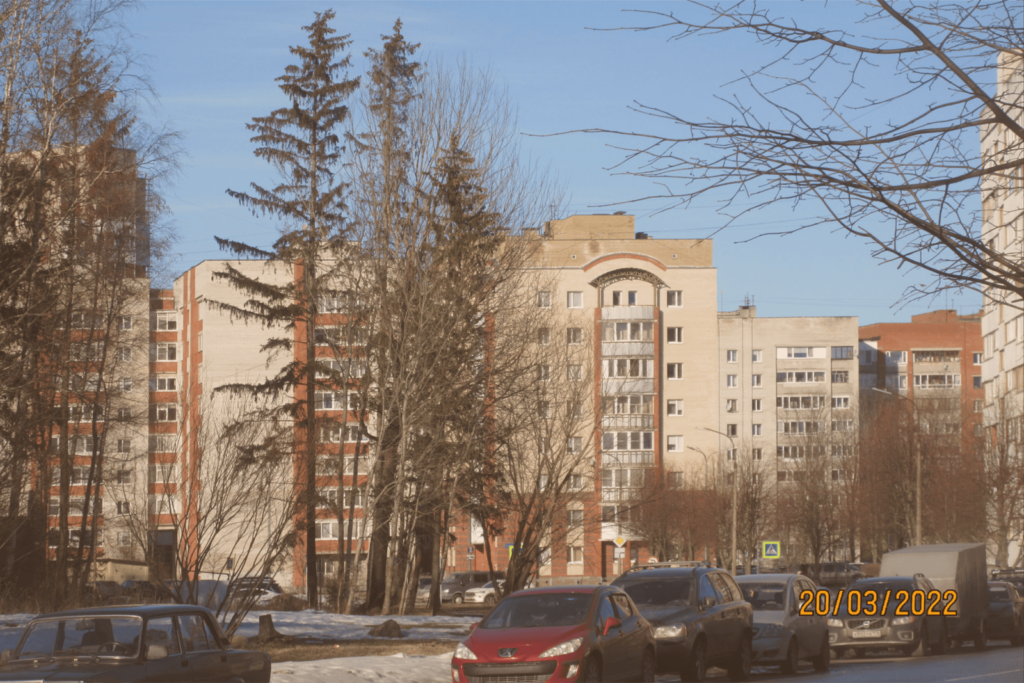 Застройка: дома и дороги наукограда на берегу Финского залива 