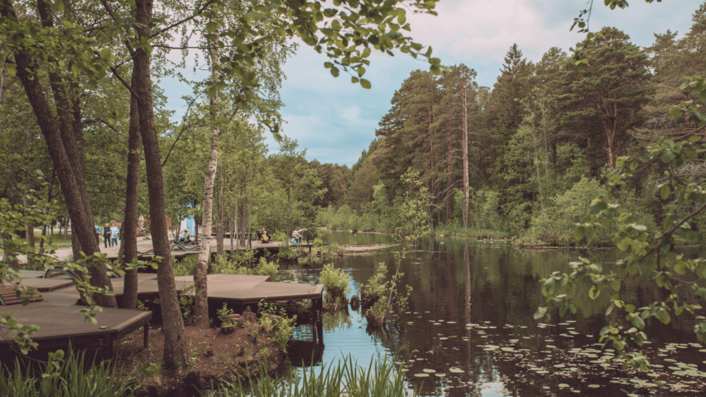 Насладиться лесом — Приморский парк Выходные в Сосновом Бору. 8 мест, которые стоит посетить