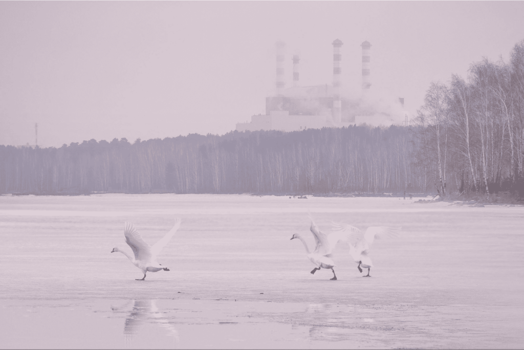 Атомное сердце Урала Как провести выходные в Заречном