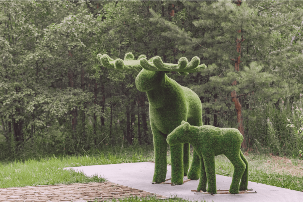 Аллеи для прогулок Как провести выходные в Заречном
